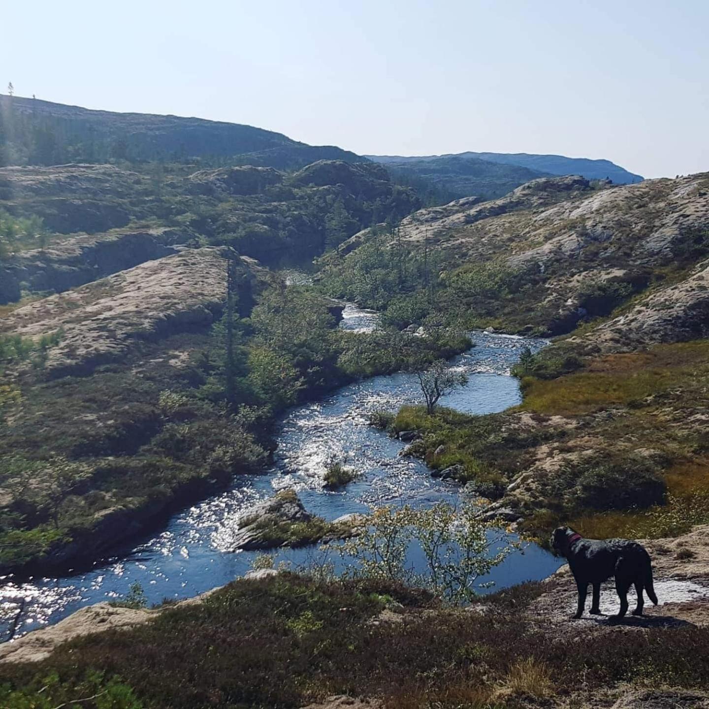 Gjestehus Pa Bondegard, Med Batutleie Намсос Екстериор снимка